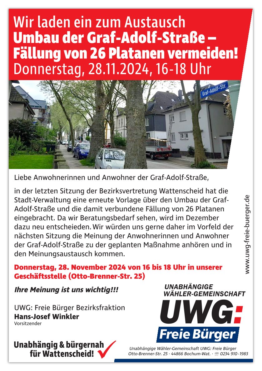 Einladung zum Austausch: Umbau der Graf-Adolf-Straße Fällung von 26 Platanen vermeiden!