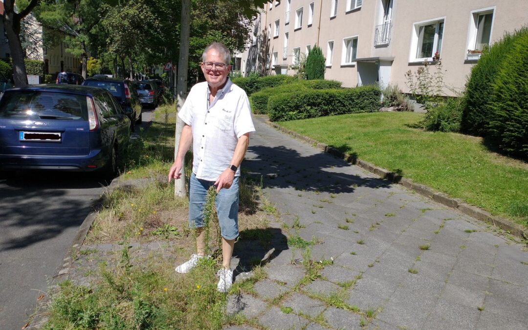 Naturschauspiel am Stockyweg Grünes Wachstum oder graue Nachlässigkeit?